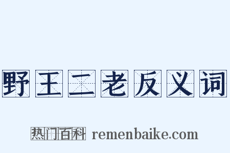 野王二老反义词是什么意思的图片